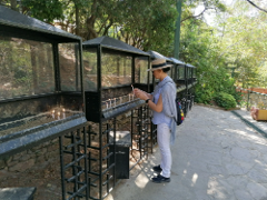 Travel to Pamukkale and Ephesus