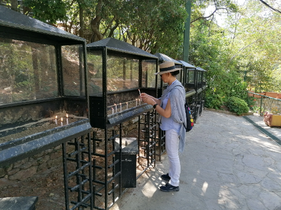 Travel to Pamukkale and Ephesus