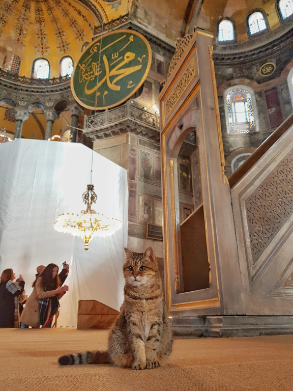 Travel To Higlights By Flight