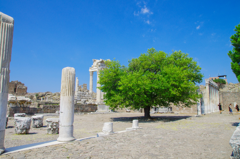 Pergamon Acropolis Museum
