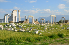 Pamukkale and Laodicea Ancient City Tour