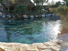 Regular Pamukkale (Cotton Castle) Travel 